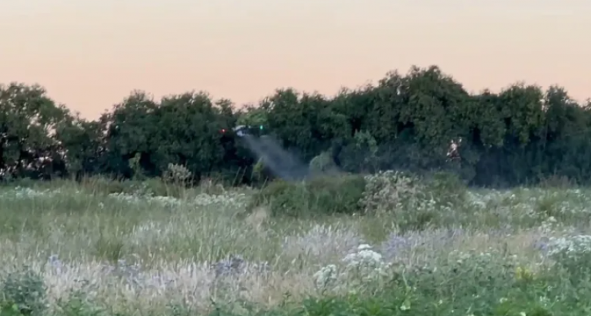 EL ARMA DEL CAMPO CONTRA EL DENGUE 
