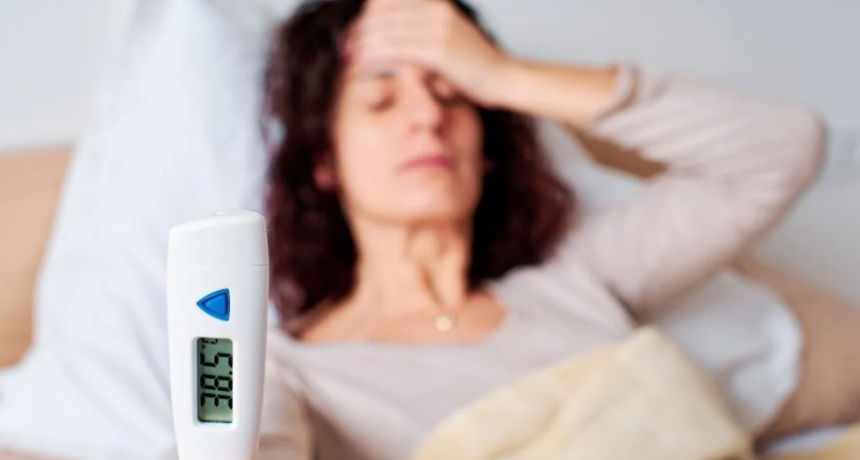 Dengue: ¿Qué ocurre en el organismo cuando se enferma y por qué es importante la vacunación?