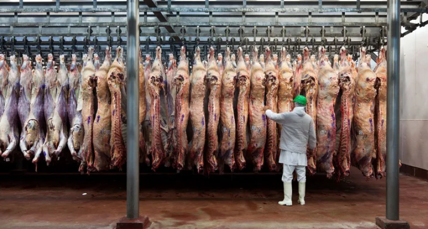  Aumentaron las exportaciones de carne, pero cayeron los ingresos