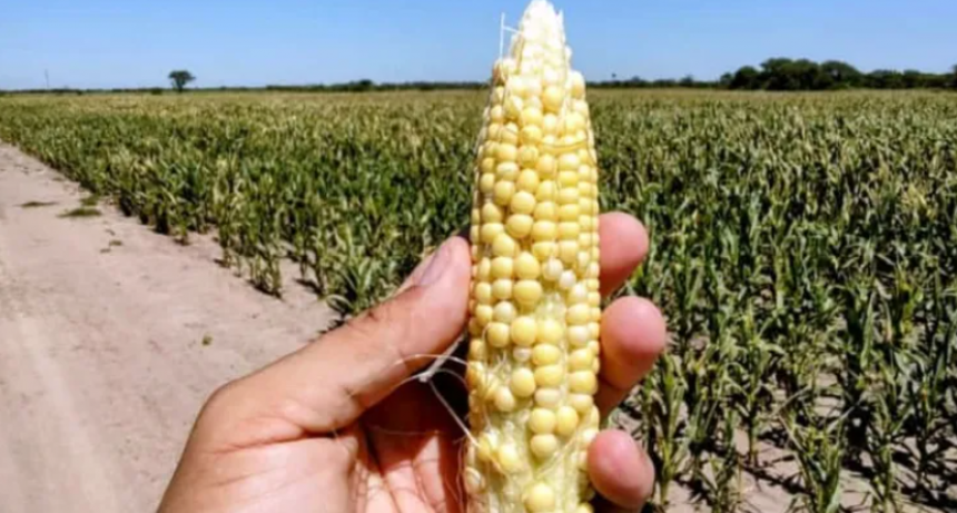 APRUEBAN DOS NUEVOS PRODUCTOS 