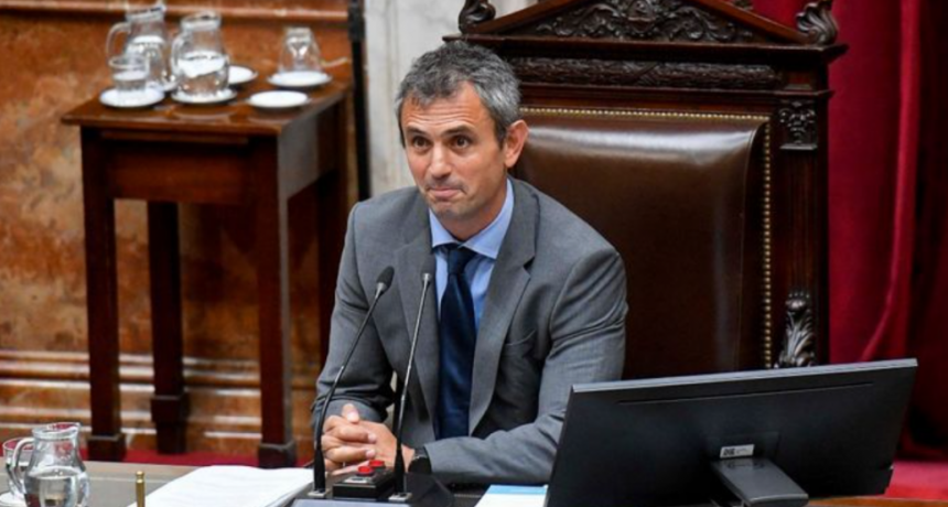 Tensión en Diputados: entre gritos, Menem le cortó el micrófono a una diputada