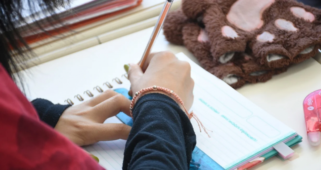 Abren la inscripción para recibir los Vouchers Educativos 2025: cómo anotarse