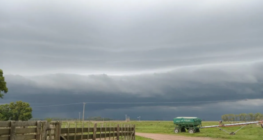Las lluvias retrasan la cosecha de soja en Santa Fe, pero mejoran el panorama para el trigo