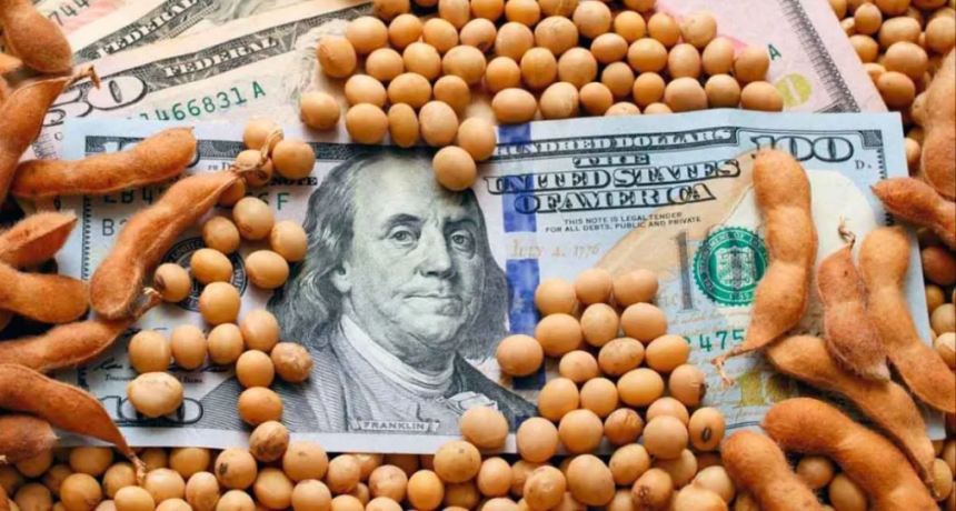 Qué cambia para el agro argentino con el fin del cepo y el dólar flotante