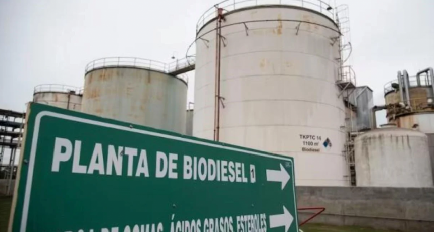 El biodiésel pide adaptarse a la nueva política cambiaria
