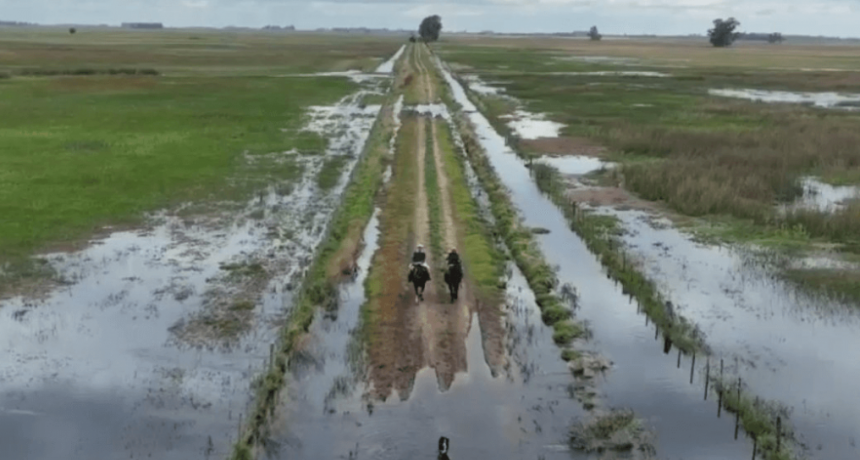 “¿Van a seguir ignorándonos?”: productores de Buenos Aires, indignados por los caminos rurales