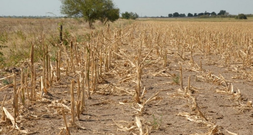 Emergencia agropecuaria sobre San Justo, San Javier y distritos de Las Colonias y Castellanos