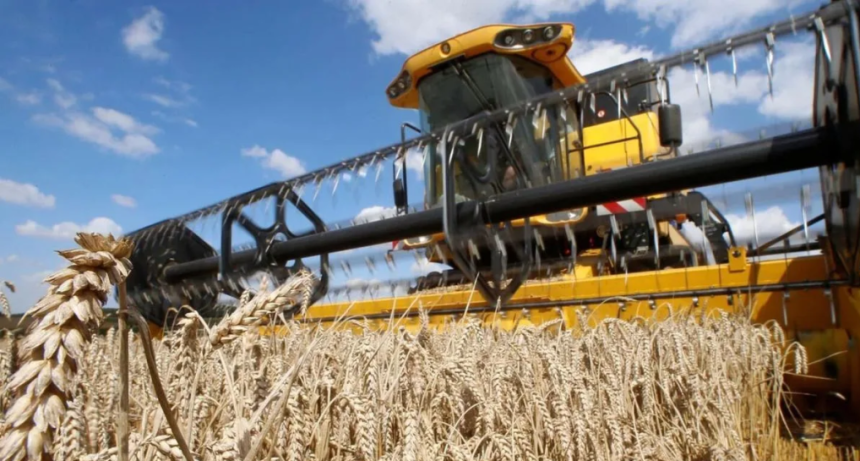 FADA: impuestos y costos en alza complican a los chacareros y comprometen al trigo