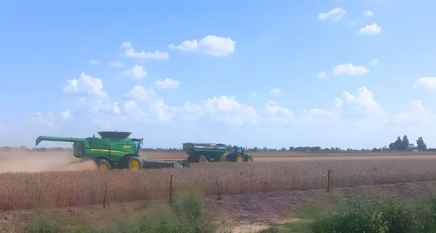 Comenz&oacute; la cosecha de soja y los primeros rendimientos anticipan una gran campa&ntilde;a