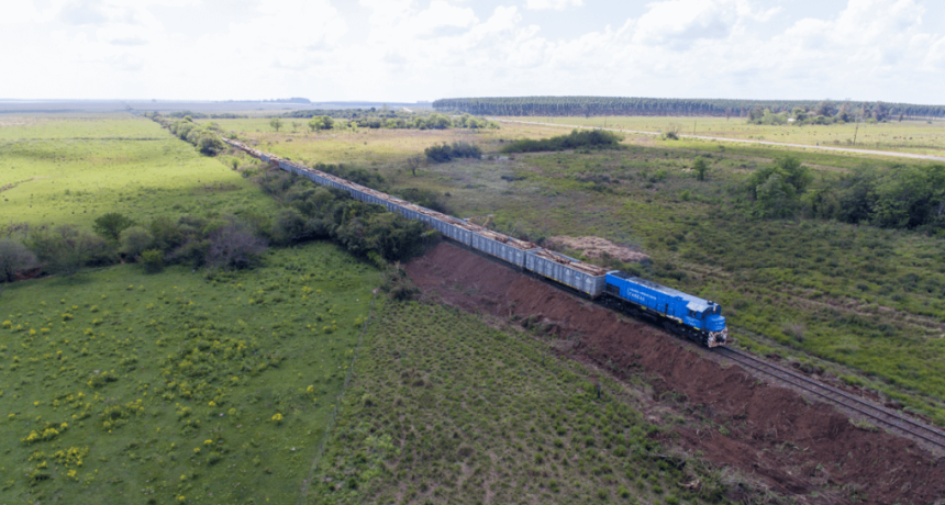 Desde Alemania ven a la infraestructura como un gran d&eacute;ficit del agro argentino: &ldquo;Casi no ves trenes&rdquo;