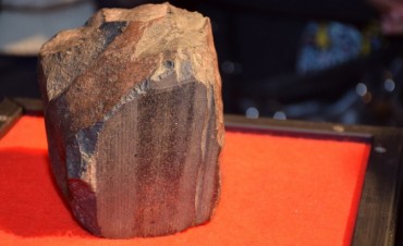 Casilda recuper&oacute; un meteorito de m&aacute;s de 2.500 millones a&ntilde;os