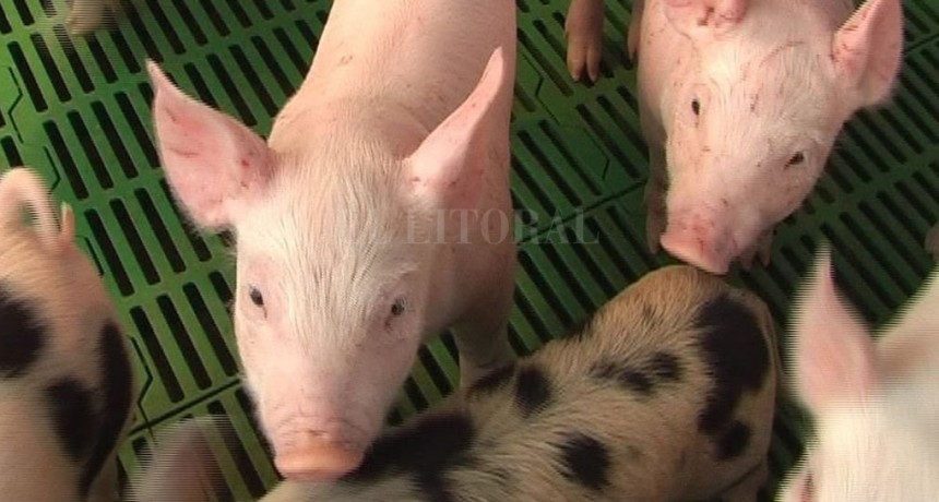  "Nos atienden pero no quieren escuchar"