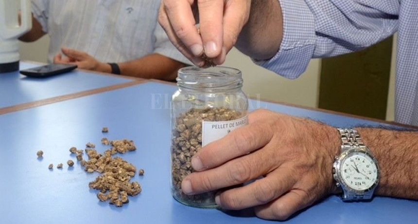 La UTN cre&oacute; un sistema para generar energ&iacute;a con marlos de ma&iacute;z