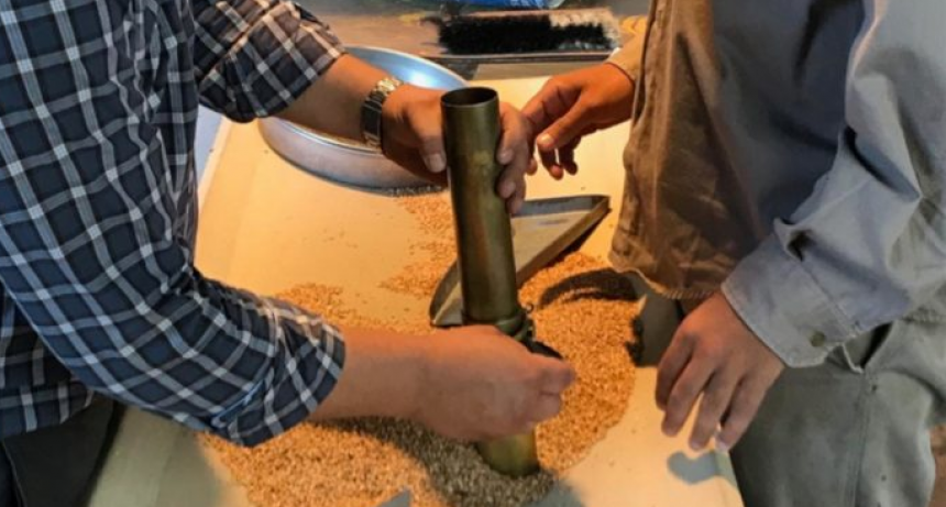 Descontento por un proyecto que pretende crear una Junta Nacional de Granos