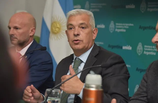 Cómo es el Plan Ganadero del gobierno para aumentar la oferta de carne