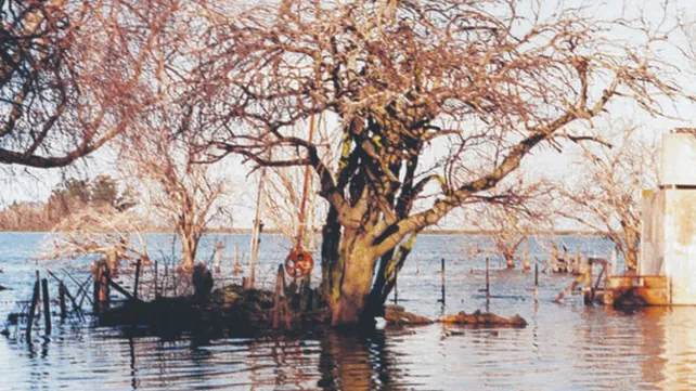 Santa Fe: piden un plan hidro productivo