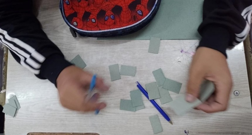 Alumnos santafesinos crean pastillas naturales para repeler mosquitos y combatir el dengue