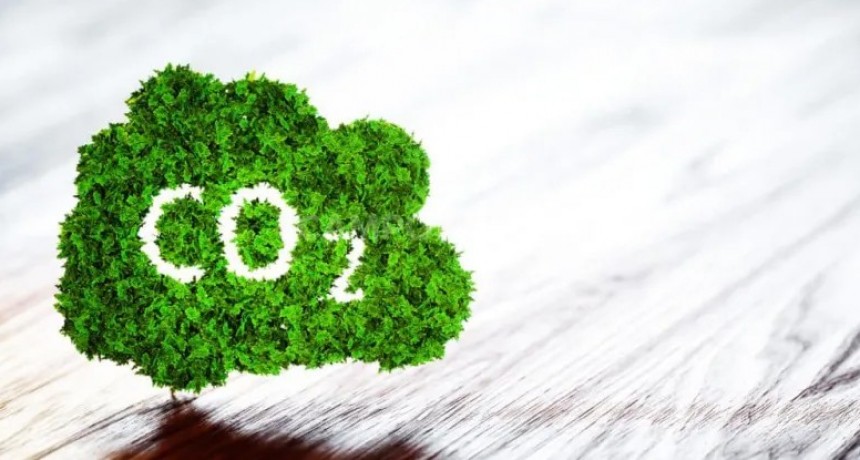 &iquest;Qu&eacute; sabe el campo de los bonos de carbono?