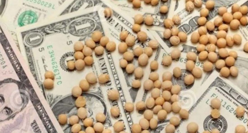 Dólar Soja 3: El objetivo del Gobierno, a mitad de camino