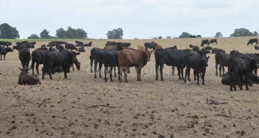 Santa Fe solicitó a nación que homologue la emergencia agropecuaria hasta septiembre