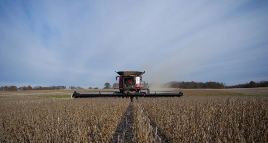 Por el dólar soja se liquidaron hasta 2.066 millones de dólares