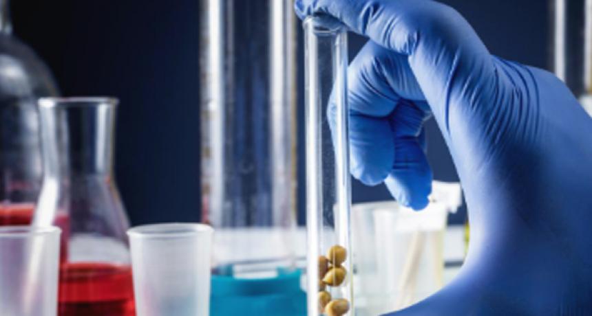 China aprobó el certificado de seguridad de la primera soja editada genéticamente