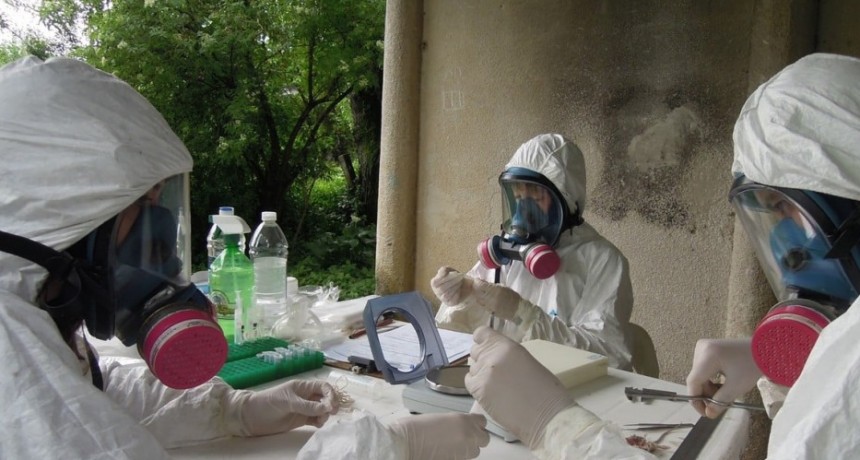 “Supercontagiadores”: dime quién te infectó y te diré cuán contagioso eres