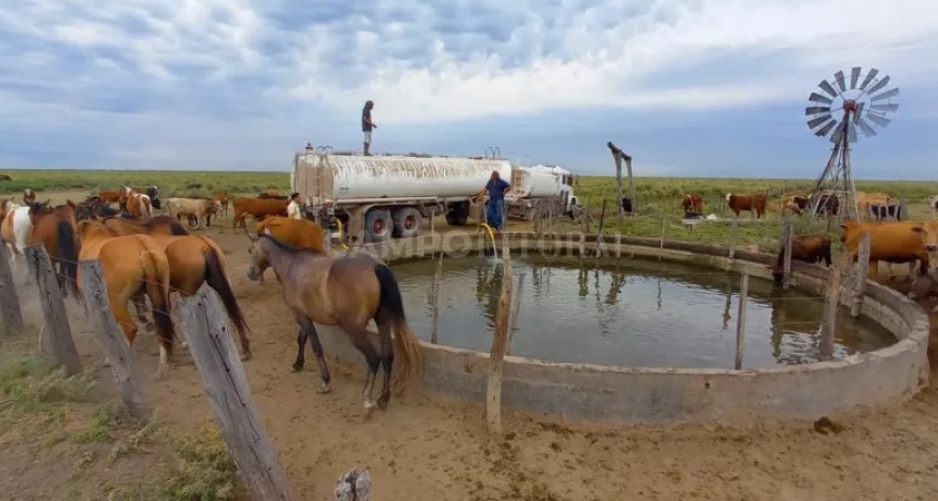 La sequía sigue marcando la tónica del negocio ganadero