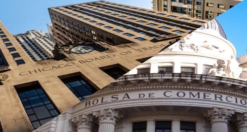 La soja cayó US$ 13 en Chicago, también bajó en Rosario