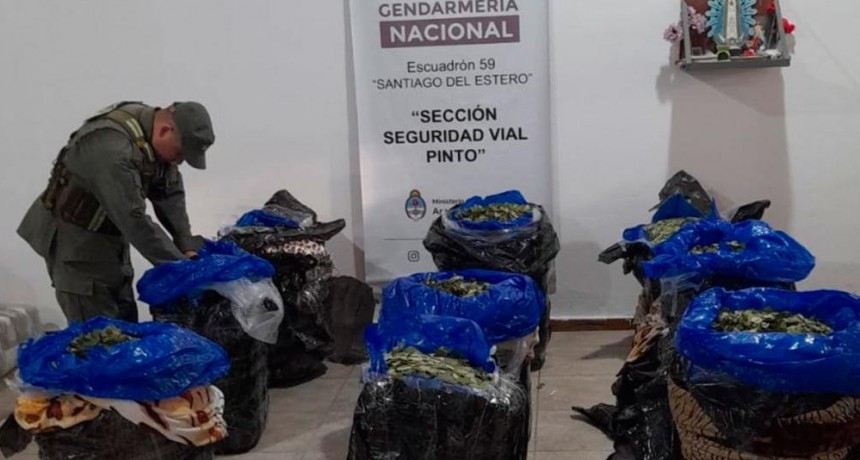 Encontraron 200 kilos de hojas de coca en un ómnibus en Pinto