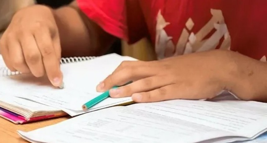 La mitad de los alumnos santafesinos de sexto grado reprueban Lengua: las posibles soluciones