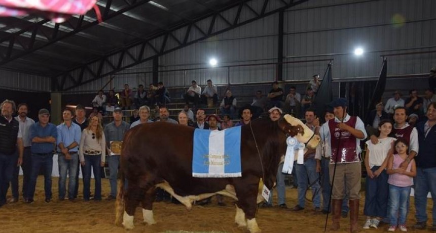 20° Exposición Nacional de Braford: los ganadores fueron del Litoral y de Chaco