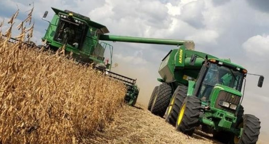 La secretar&iacute;a de Agricultura estableci&oacute; pautas para acceder al d&oacute;lar agro