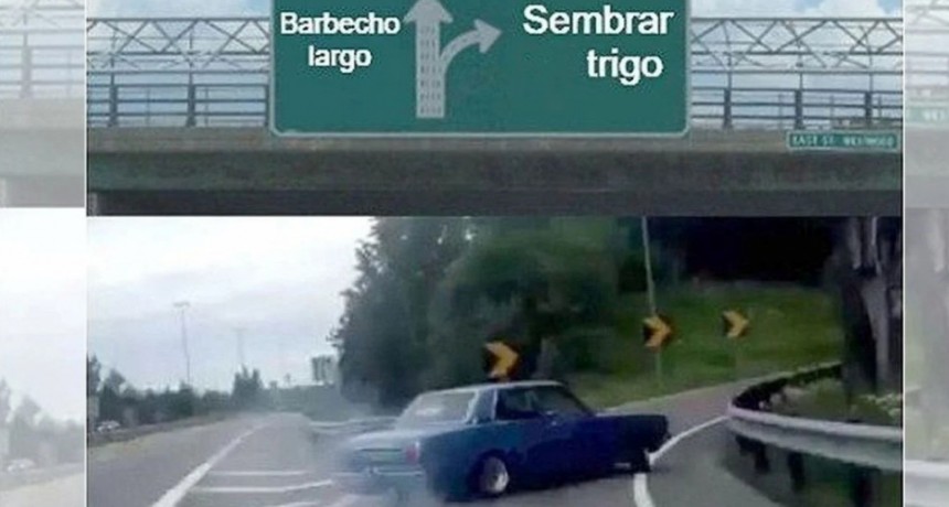 La lluvia salvadora impulsaría una siembra masiva de trigo