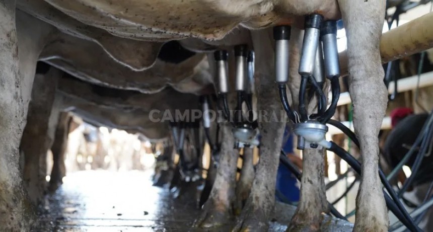 ¿Realmente el mundo se quedará sin leche?