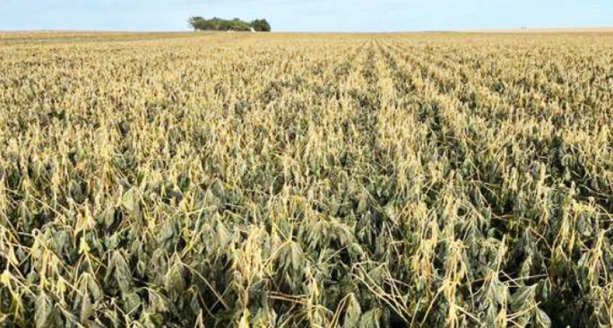Primeras heladas: en la provincia de Córdoba se registraron temperaturas de hasta -2,5° bajo cero