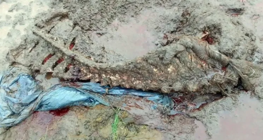 NUEVOS CASOS DE ABIGEATO Y MÁS PRODUCTORES QUE DICEN ESTAR ARMADOS