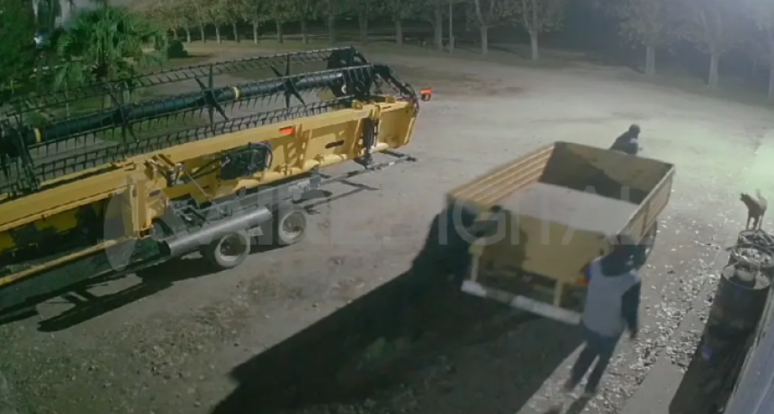 Angélica: mientras le robaban, el dueño de un campo llamó a la policía pero no tenían patrullero