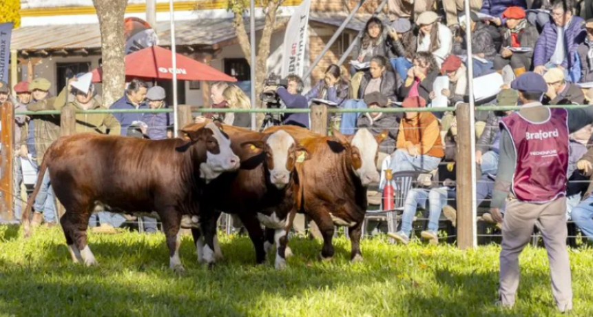 LA NACIONALES YA COMPLETARON EL PODIO DE LOS BRAFORD