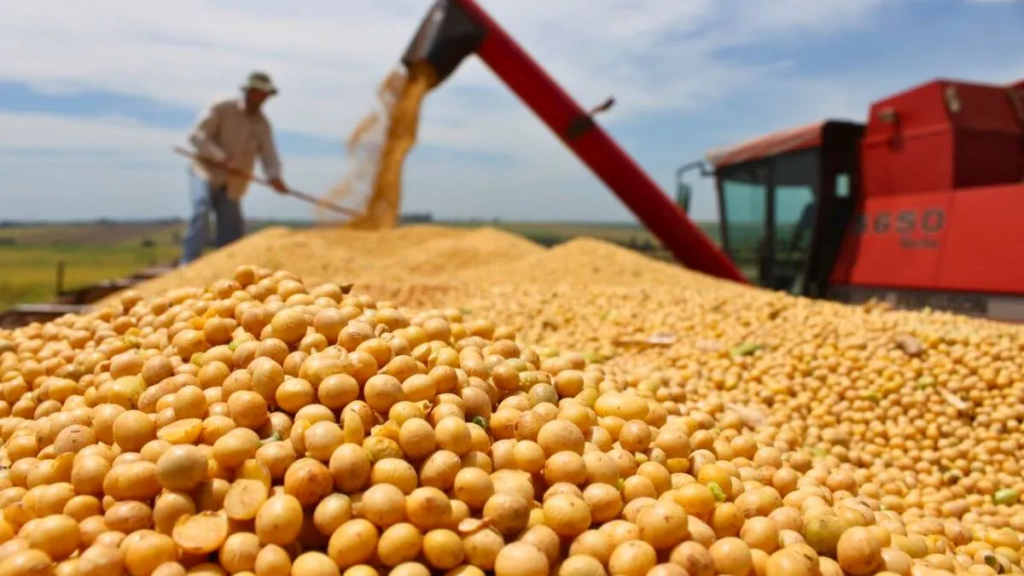 Sin mercado no hay negocio: claves para que el productor defienda el precio de su cosecha
