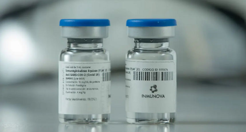 Alentadores resultados preliminares de un suero anti-Covid creado por argentinos