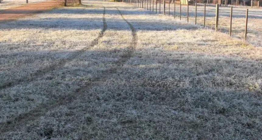 Clima: vuelven las heladas a la región núcleo