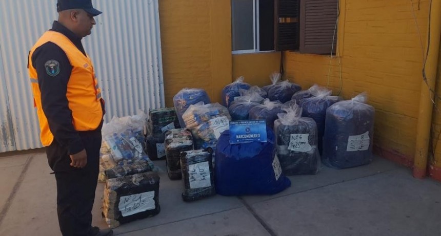 Secuestran cargamento de hojas de coca valuado en $2.2 millones