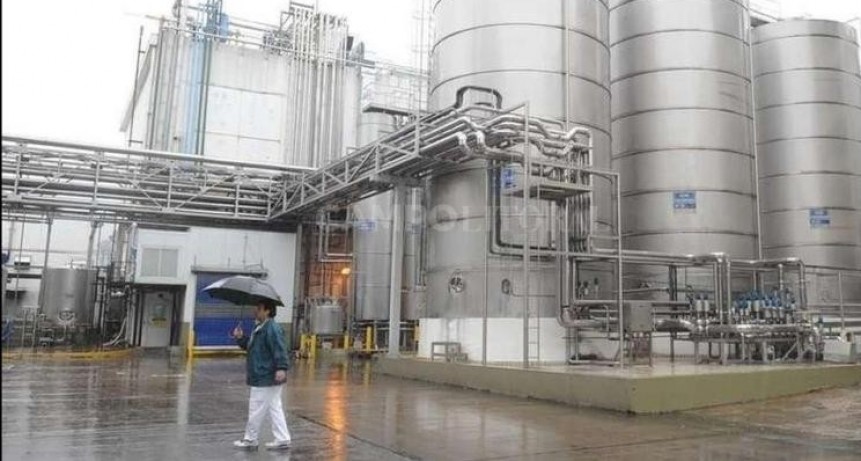  Como los tamberos, la industria láctea tiene renta negativa