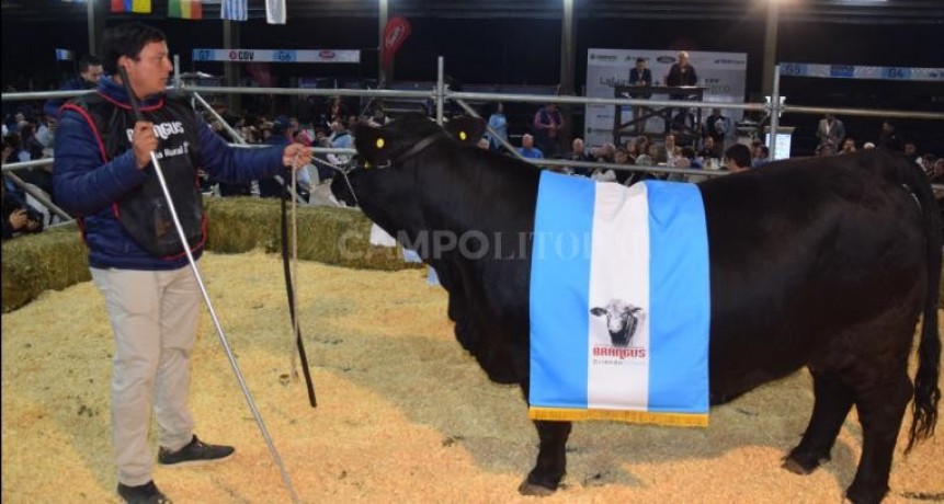 $18 millones por el 50% de la Gran Campeona Brangus