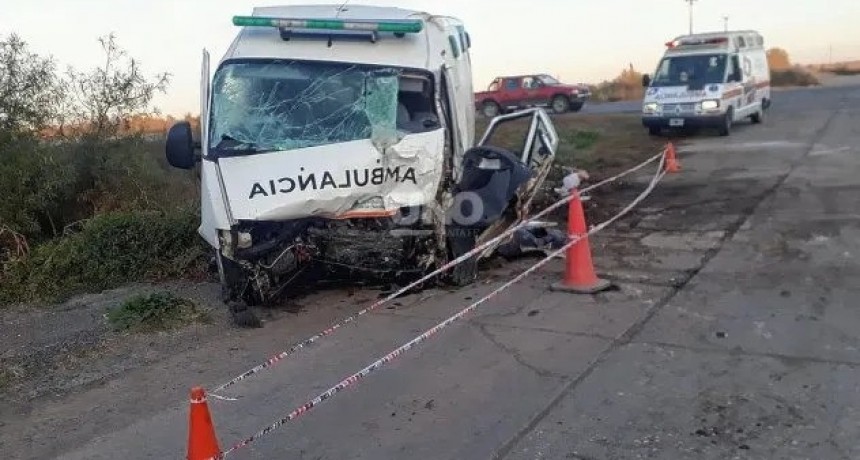 Murió una mujer en un choque de un móvil del 107 contra un caballo