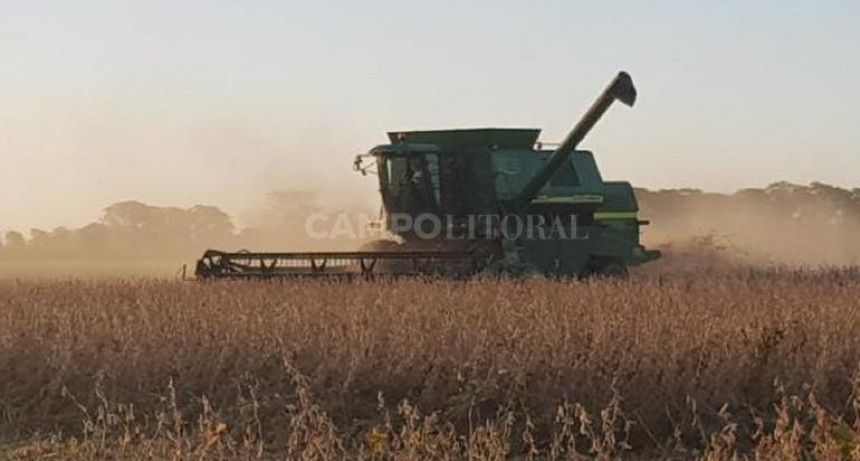 Finalizó la cosecha de soja tardía en el centro norte de Santa Fe