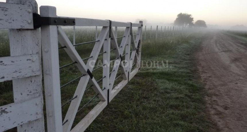  Las expectativas, por el piso