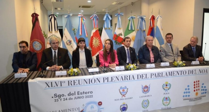 El Parlamento del Norte Grande pide más subsidios al transporte y normalizar provisión de gasoil