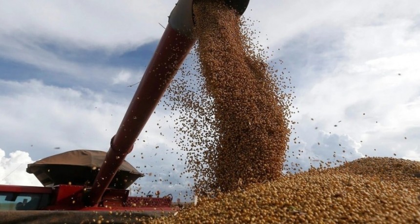 Dólar agro: la soja aportó más de lo que esperaba el Gobierno